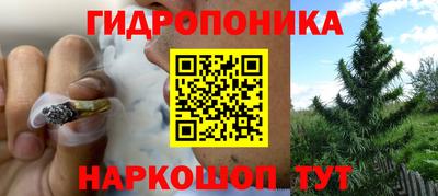 эйфоретик Анапа