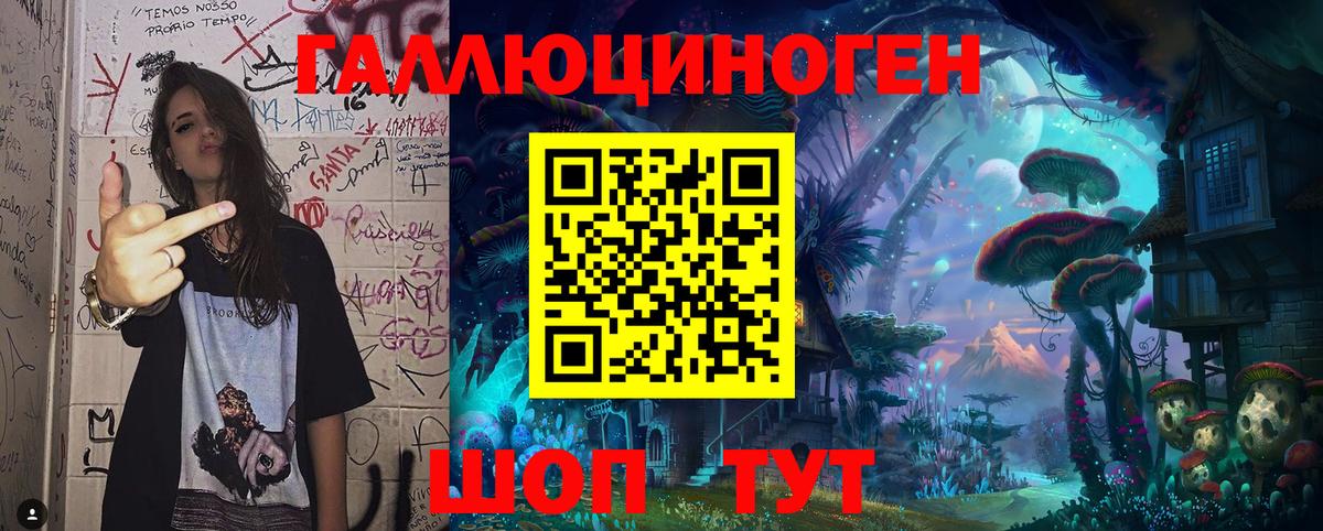 Псилоцибиновые грибы Psilocybe  Вход с VPN  Белгород 