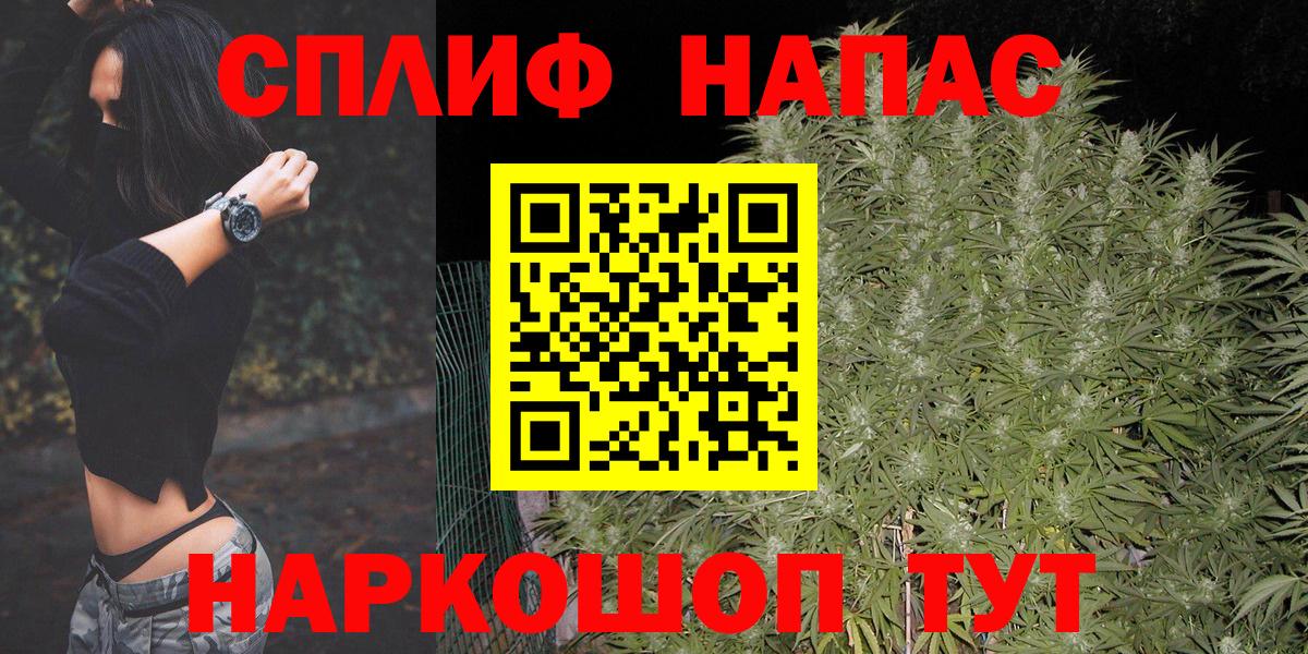 Бошки Шишки сатива Белгород